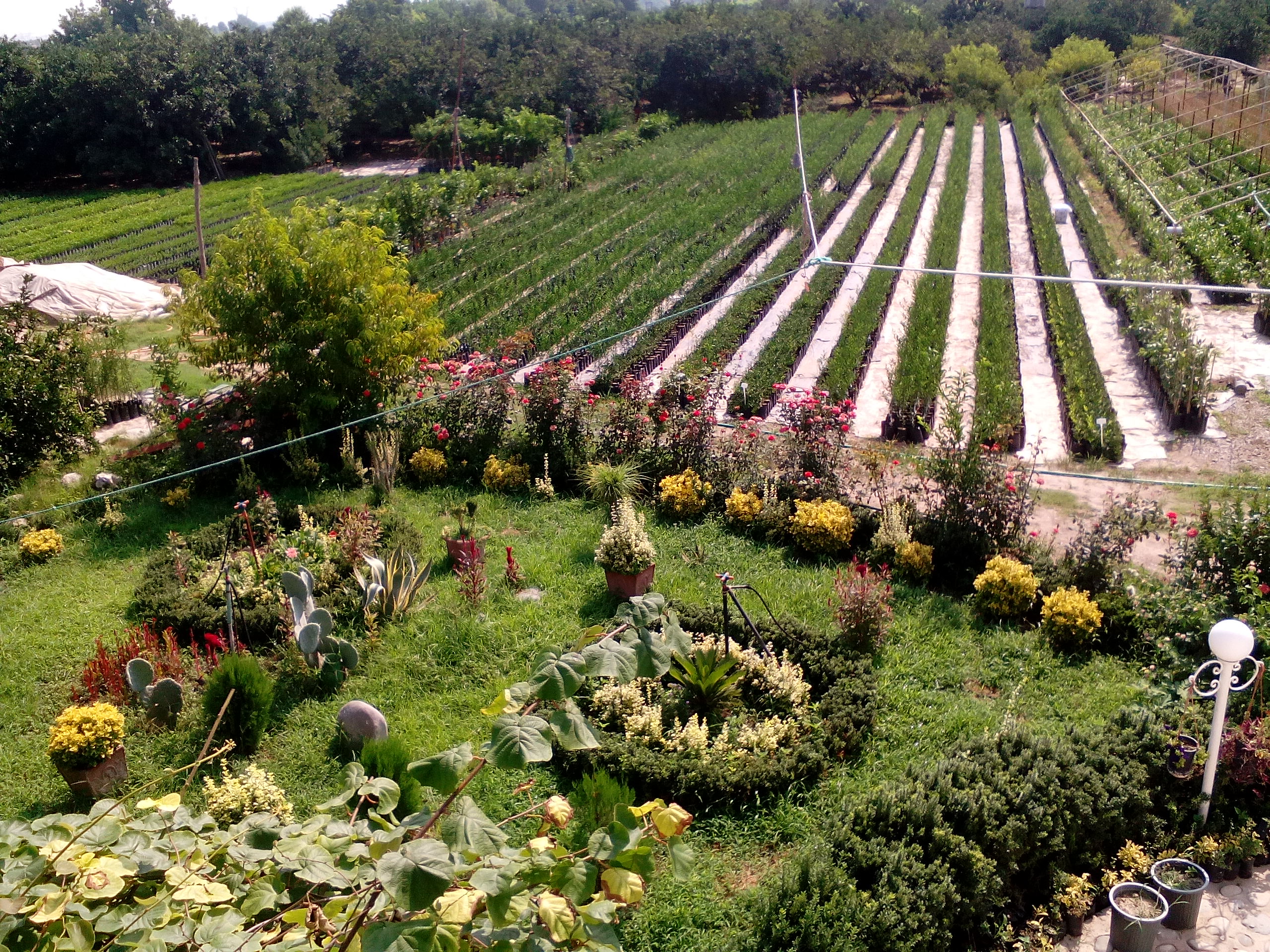 All things grow with care & love All things grow with care & love